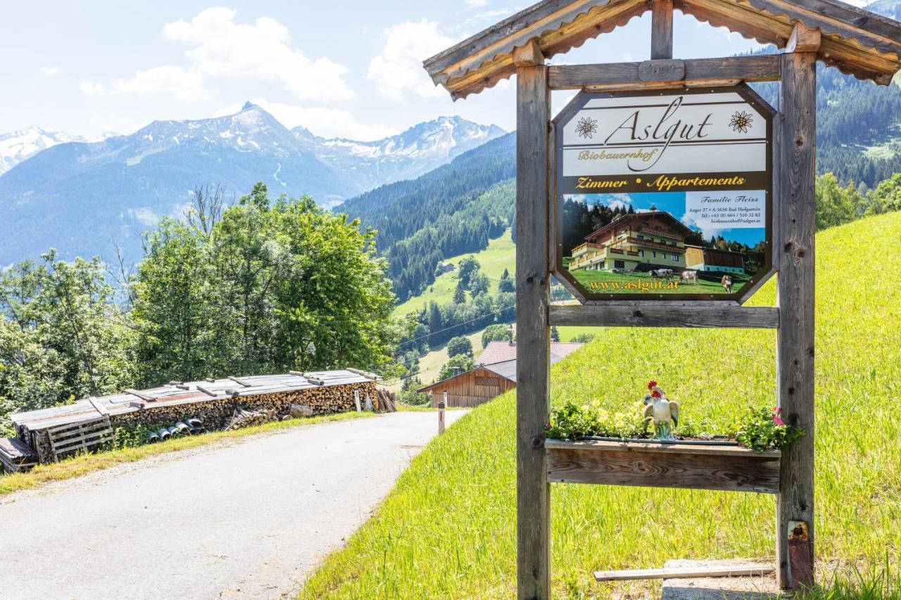 Biobauernhof Aslgut Villa Bad Hofgastein Exterior photo